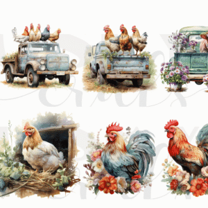 Gallinas y Gallos -uv-dtf