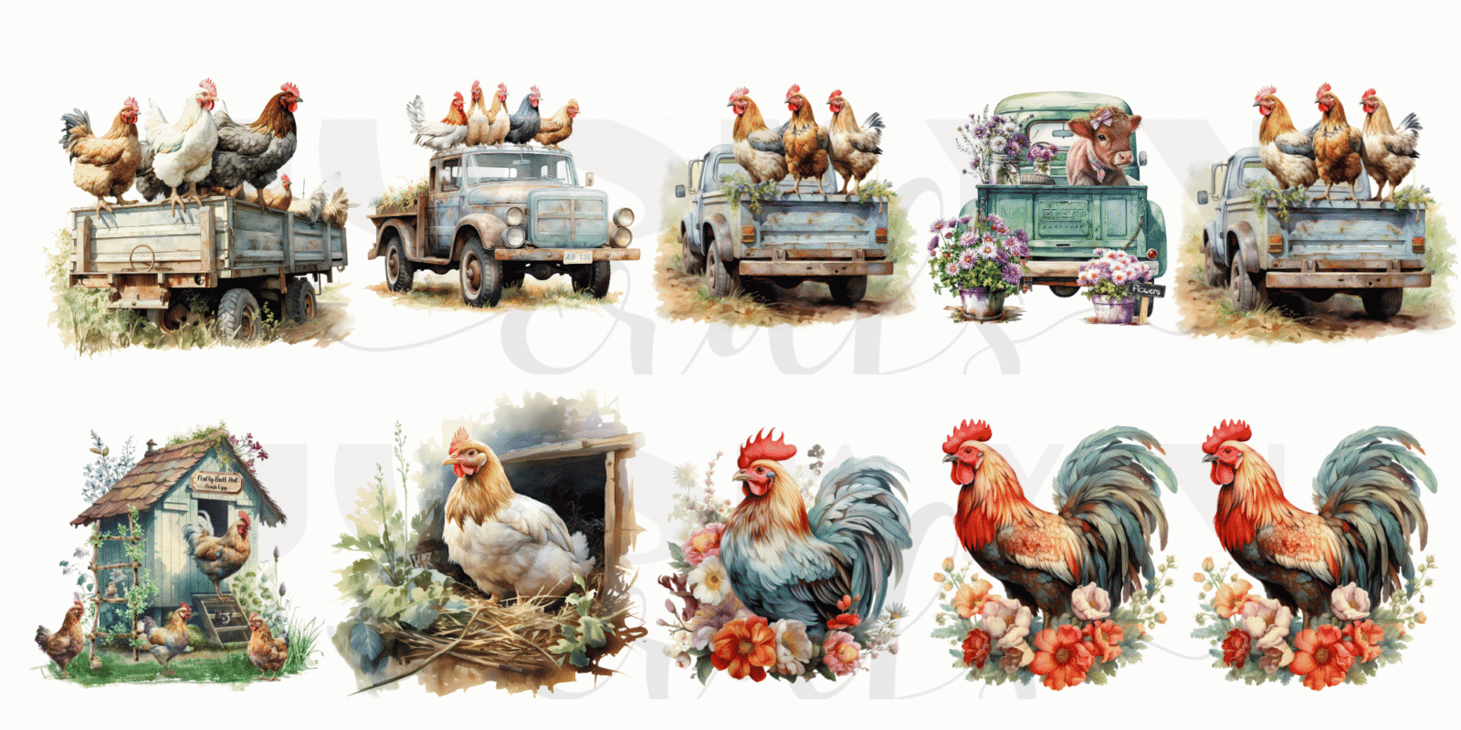 Gallinas y Gallos -uv-dtf