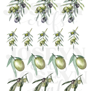 Calcomanía hidrotransferible – aceitunas Código158