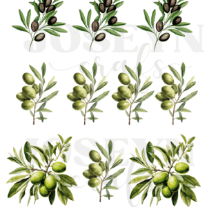 Calcomanía hidrotransferible – Aceitunas– Código157
