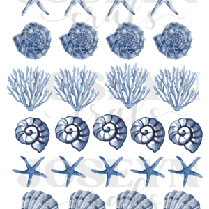 Calcomanía hidrotransferible – Algas Marinas-Código228