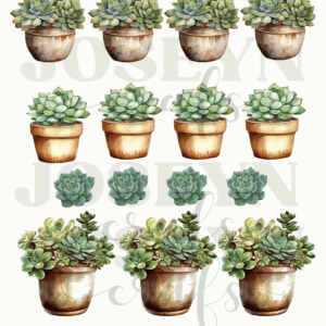 Calcomanía hidrotransferible – Cactus01– Código162