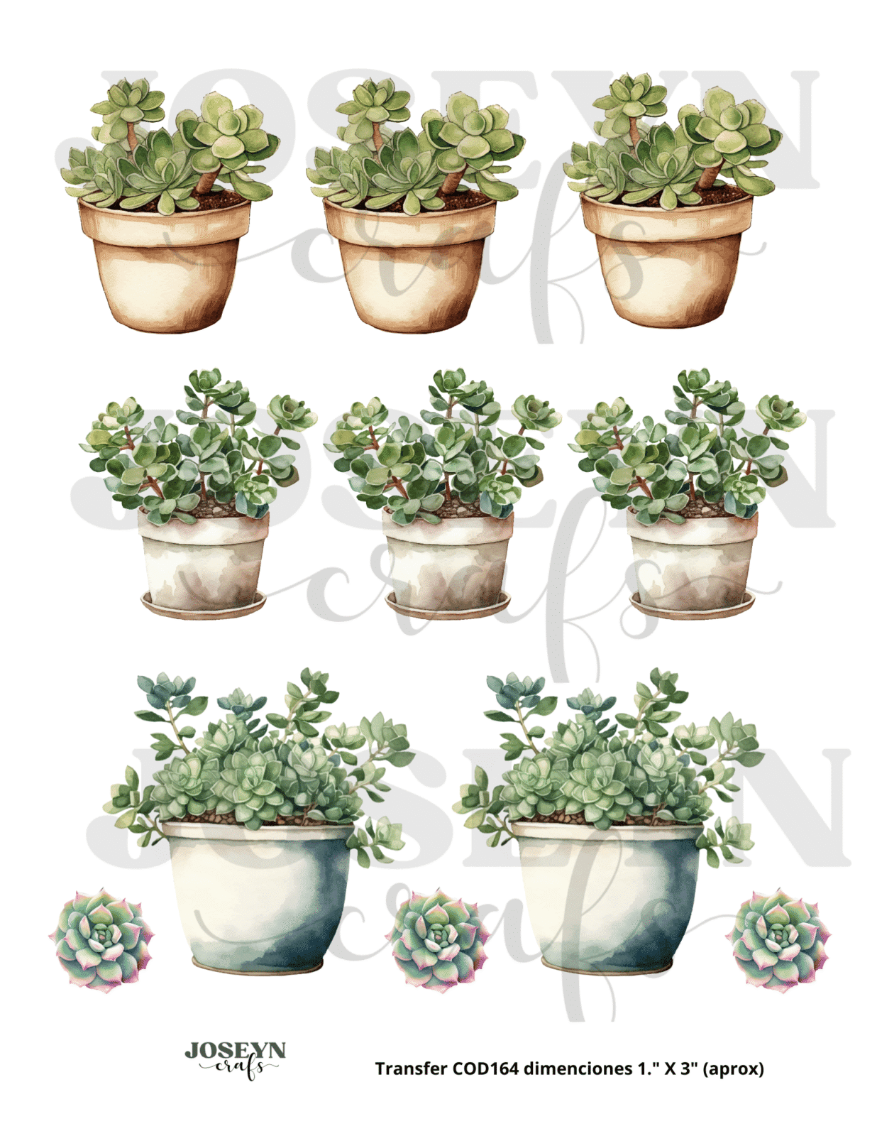 Calcomanía hidrotransferible – Cactus02– Código163