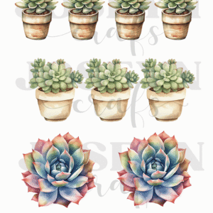 Calcomanía hidrotransferible – Cactus03– Código165