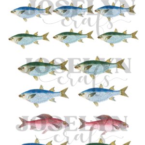 Calcomanía hidrotransferible – Pez– Código152