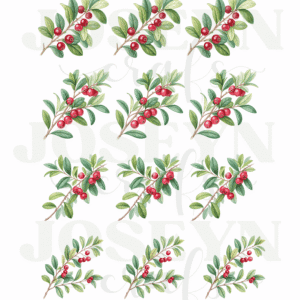 Calcomanía hidrotransferible – Follaje– Código200