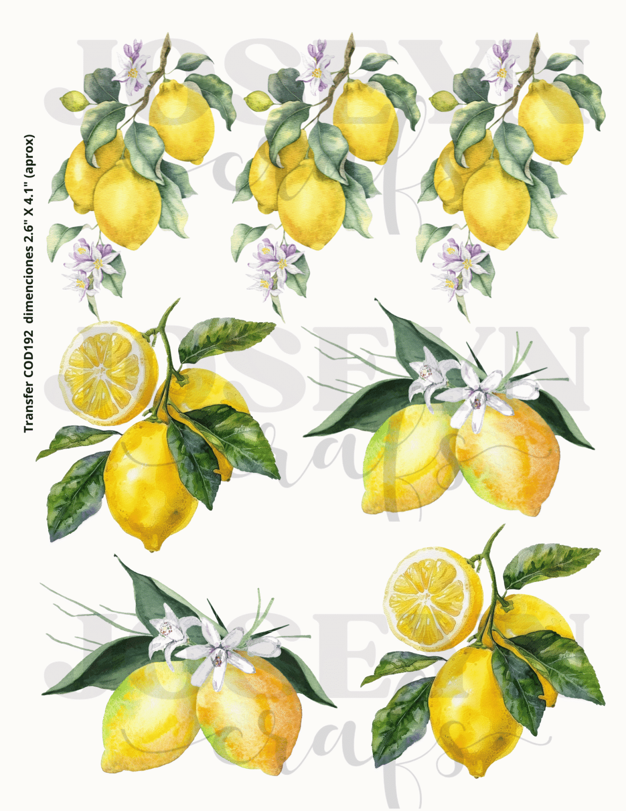 Calcomanía hidrotransferible – Limones 004 Código192
