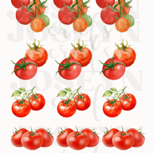 Calcomanía hidrotransferible – Tomates– Código160