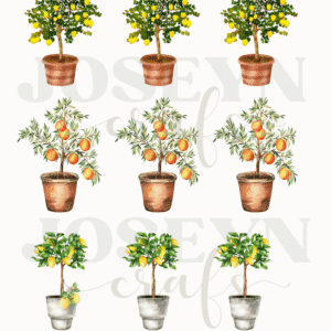 Calcomanía hidrotransferible – Topiario– Código155