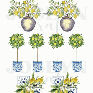 Calcomanía hidrotransferible – Topiario Limones– Código156
