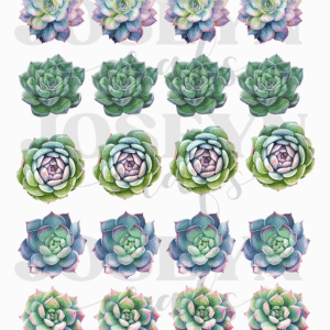 Calcomanía hidrotransferible – Cactus05– Código167