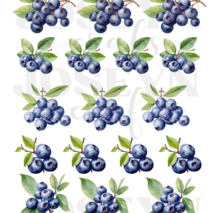 Calcomanía hidrotransferible – Blueberry– Código161