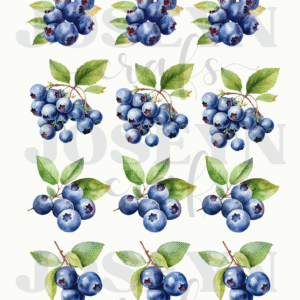 Calcomanía hidrotransferible – Arándano– Código162