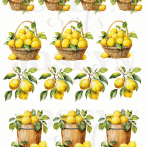 Calcomanía hidrotransferible – Limones Toscana04– COD246